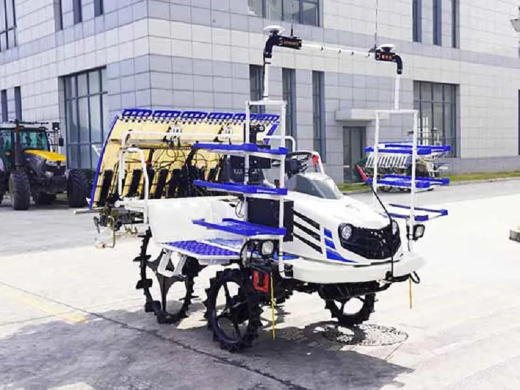 Maatalouden riisinsiirto